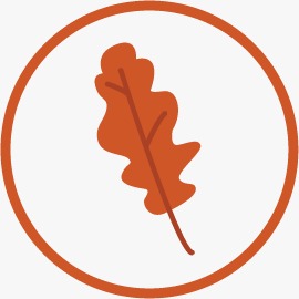 GoWild